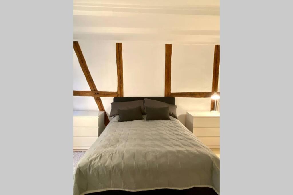 Luxury 'Kings Garden' City-Flat In Center Of Town Appartement Kopenhagen Buitenkant foto