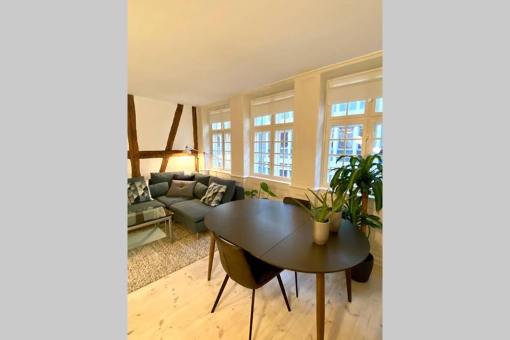 Luxury 'Kings Garden' City-Flat In Center Of Town Appartement Kopenhagen Buitenkant foto